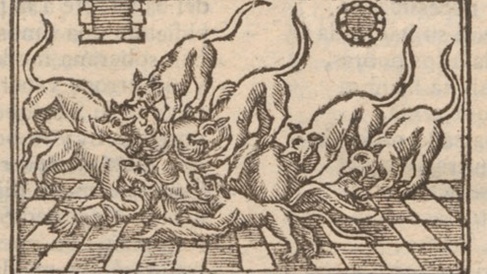 Dogs in frenzied attack to a human